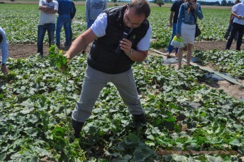 Marcin Pawlak bardzo chętnie odpowiadał na pytania zwiedzających plantację Garbatowskich