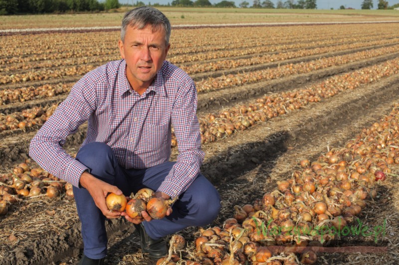 Paweł Łukasiak opowiadał o odmianach cebuli 