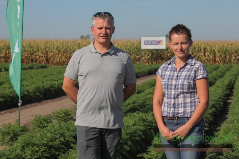 Katarzyna Gładka i Radosław Suchorzewski odpowiedzialni za rozwój i wdrażanie środków ochrony przeznaczanych do stosowania w warzywach   