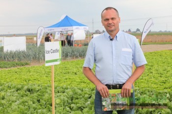 Zygmunt Chuchnowski omówił asortyment sałat oferowanych przez Syngenta 