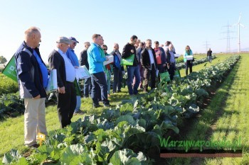 Z dużym zainteresowaniem oglądano doświadczenia herbicydowe w uprawie kapusty i kalafiora gdzie stosowano takie produkty jak: Butisan, Butisan Kombi (w Polsce preparat ten zarejestrowany jest jako Butisan Duo) oraz Stomp Aqua + Spectrum