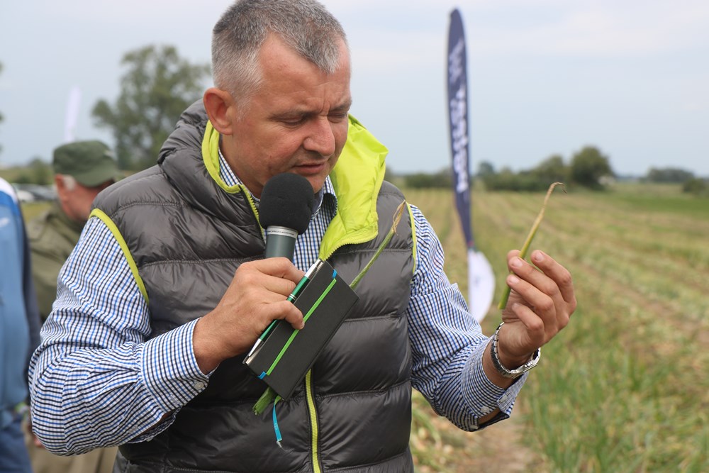 Radosław Sucharzewski z firmy Bayer analizuje zdrowotność plantacji