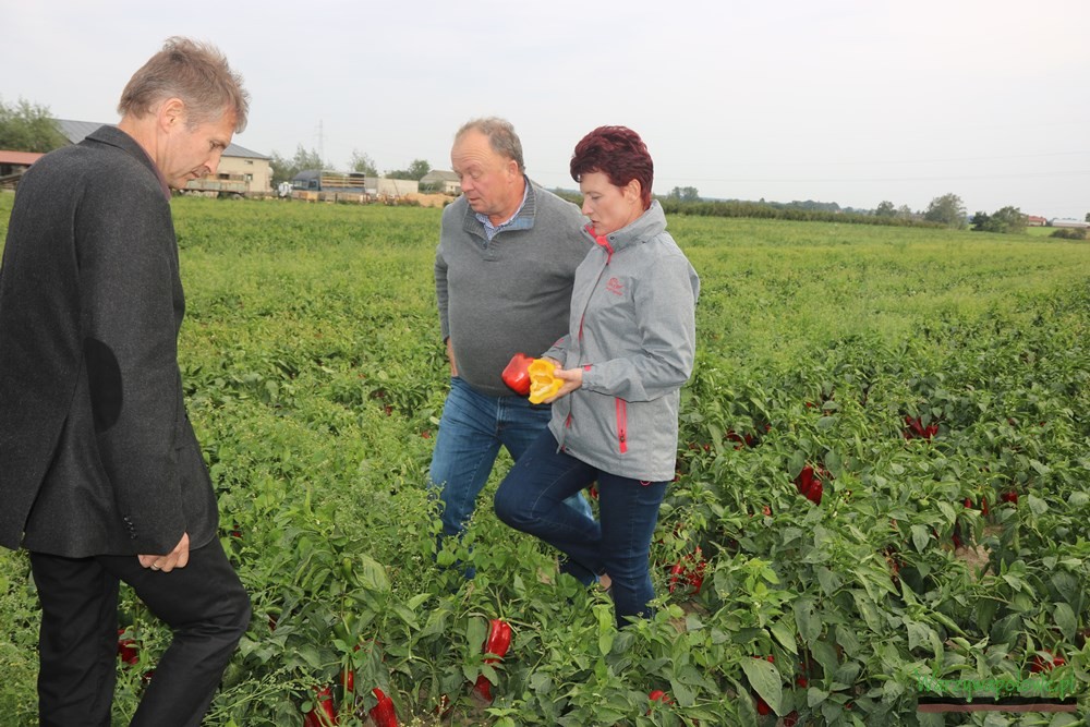 Uczestnicy spotkania chętnie zwiedzali pola p. Kasperka