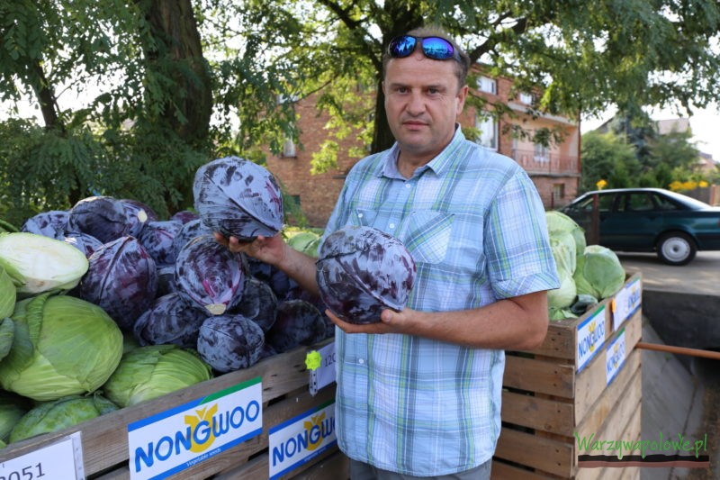 Piotr Zwada, właściciel firmy Rol-Spec wiąże duże nadzieje z nowymi odmianami kapusty z koreańskiej firmy Nongwoo