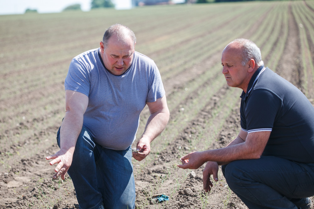 Lustracje plantacji cebuli 19 maja – FILM