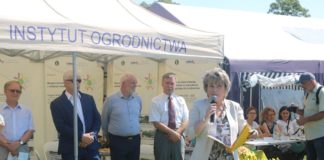 O warzywach polowych w Skierniewicach