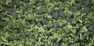 Brokuły ze zbiorem mechanicznym