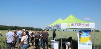 Intermag dla ogrodników