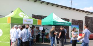 Sałata i rzodkiewka w piotrkowskim zagłębiu, cz. II