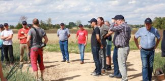 Na plantacjach cebuli w Czechach – FILM