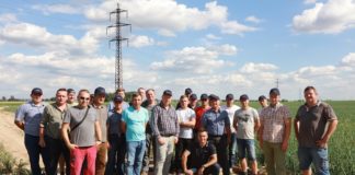 Jak produkuje się cebulę w Czechach?