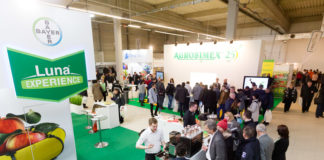 TSW 2017 już po raz siódmy