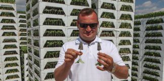 Rozsada coraz doskonalsza – FOTOGALERIA