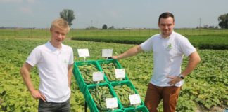 Dzień Ogórkowy Rijk Zwaan – Fotogaleria