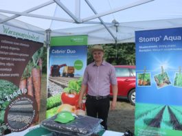 Ochrona i nawożenie ogórków gruntowych