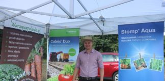 Ochrona i nawożenie ogórków gruntowych