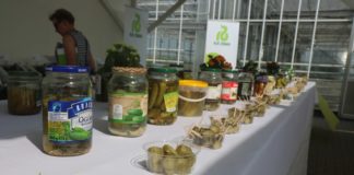 Mała retencja i RHD z dofinansowaniem z PROW