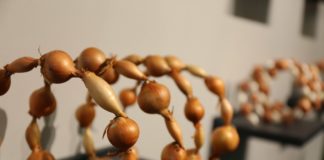 Holenderski handel zagraniczny cebulą