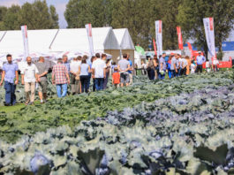 Dni Otwarte Bejo obfitujące w nowości