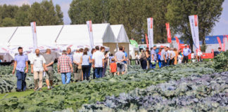Dni Otwarte Bejo obfitujące w nowości