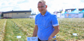 Jak prawidłowo nawozić warzywa w tym sezonie – FILM