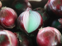 Świętokrzyskie prezentacje cebulowe