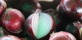 Świętokrzyskie prezentacje cebulowe