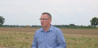 Fertygacja w cebuli – czy się opłaca?