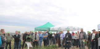 Cebule z nawadnianiem kropelkowym i fertygacją cz. I