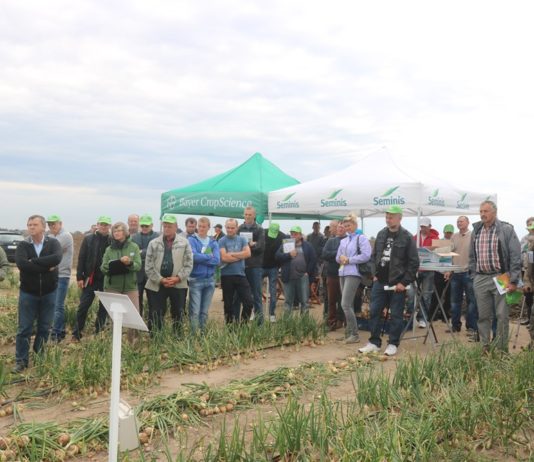 Cebule z nawadnianiem kropelkowym i fertygacją cz. I