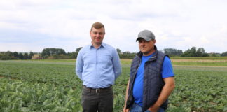 Kompleksowa ochrona kalafiorów i brokułów – FILM