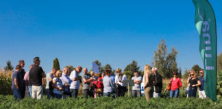 O problemach w ochronie warzyw, dobrych programach ochrony i nawożeniu