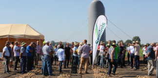 Spotkajmy się na polu! – Dni Otwarte Seminis- brokuł, kalafior, sałata, fasola i szpinak!