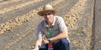 Cebula do długiego przechowywania – FILM