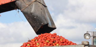 Wsparcie kryzysowe producentów owoców i warzyw