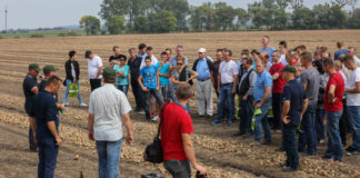 Odmiany cebuli w projekcie Onion Leader 2016 – Foto