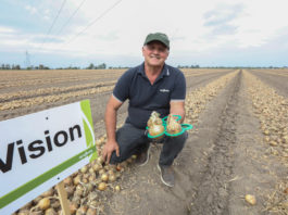 Cebule warto będzie przechować – FILM
