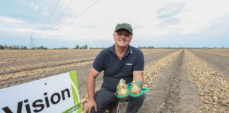 Cebule warto będzie przechować  – FILM