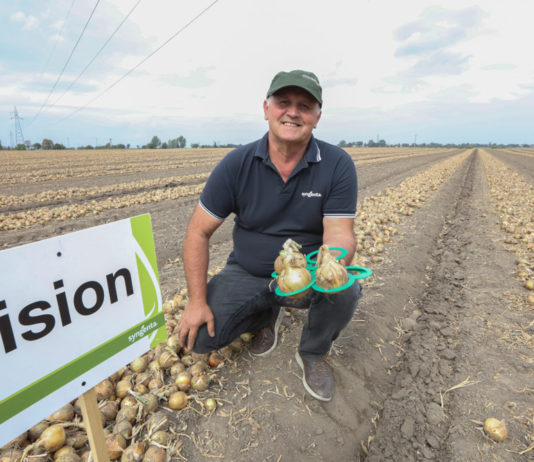 Cebule warto będzie przechować – FILM
