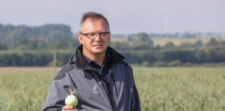 Nawożenie cebuli w krytycznych fazach – FILM