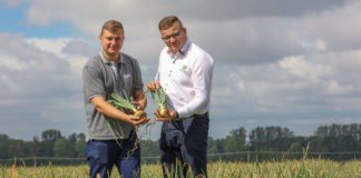 Razem możemy więcej, czyli cebula w ON-ZIN, czy. I