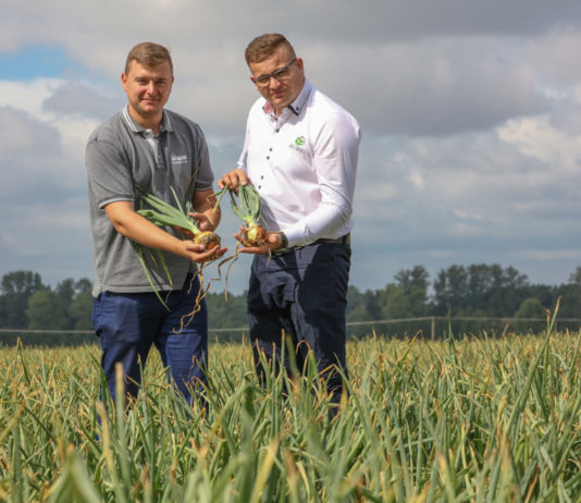 Razem możemy więcej, czyli cebula w ON-ZIN, czy. I