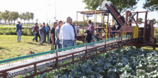 150 tys. zł premii dla młodego rolnika – nabór wniosków przedłużony