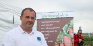 Rożne typy rozsady warzyw i technologie uprawy, cz. III