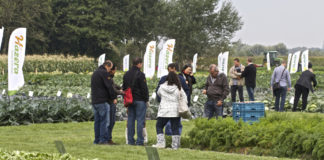 Międzynarodowe Dni Otwarte firm Hazera i Clause