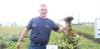 Rożne typy rozsady warzyw i technologie uprawy, cz. II