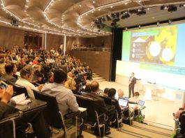 Kierunki rozwoju firmy Bayer