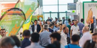 Targi Macfrut 2016 – podsumowanie i plany na przyszłość