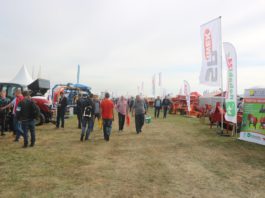 Agro Show 2016 – z ofertą również dla warzyw polowych – FOTO