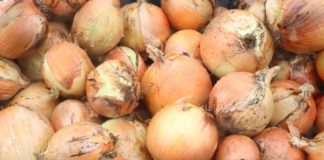 Trudna sytuacja na globalnym rynku cebuli